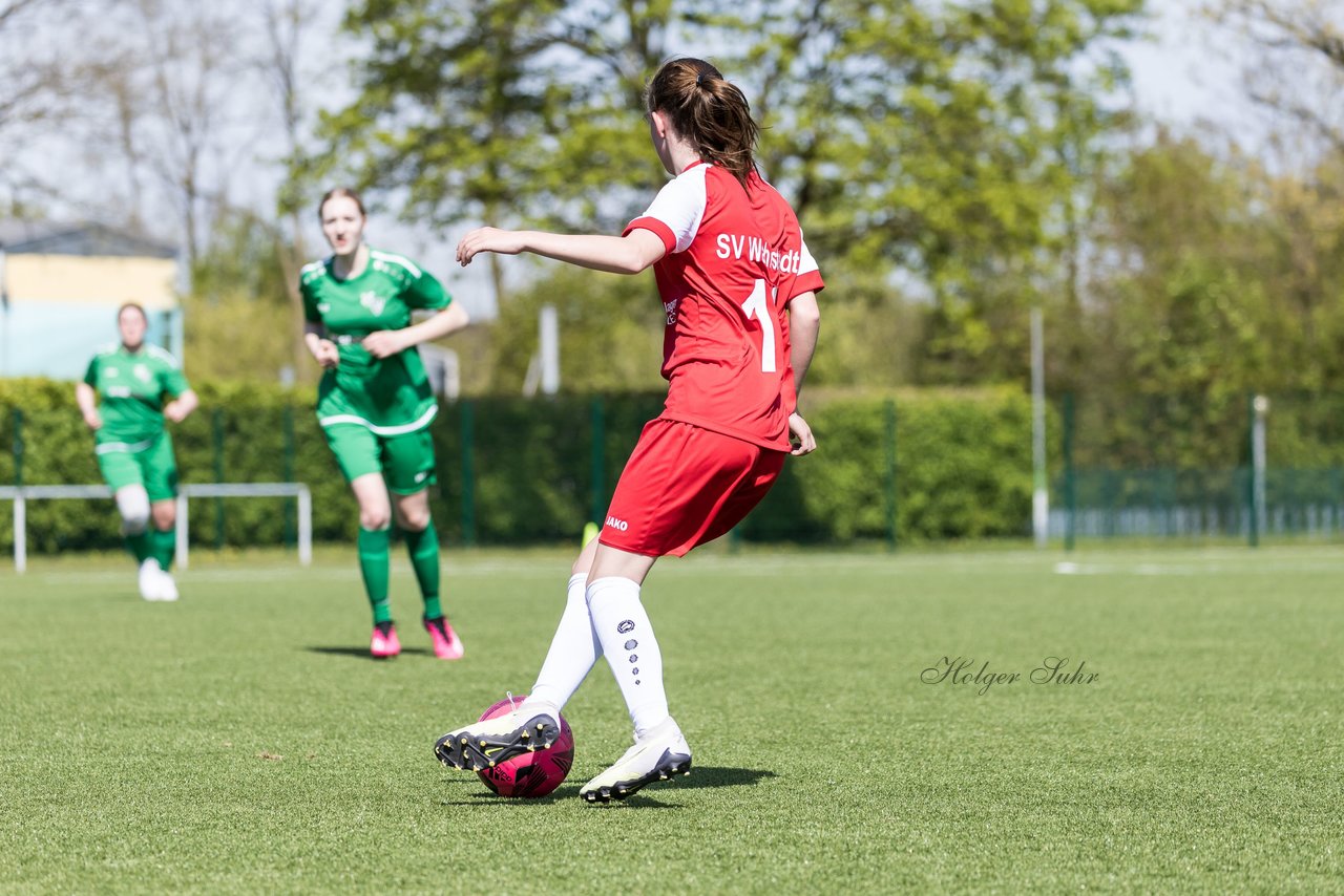 Bild 140 - wBJ SV Wahlstedt - TSV Wentorf-Dandesneben : Ergebnis: 7:1